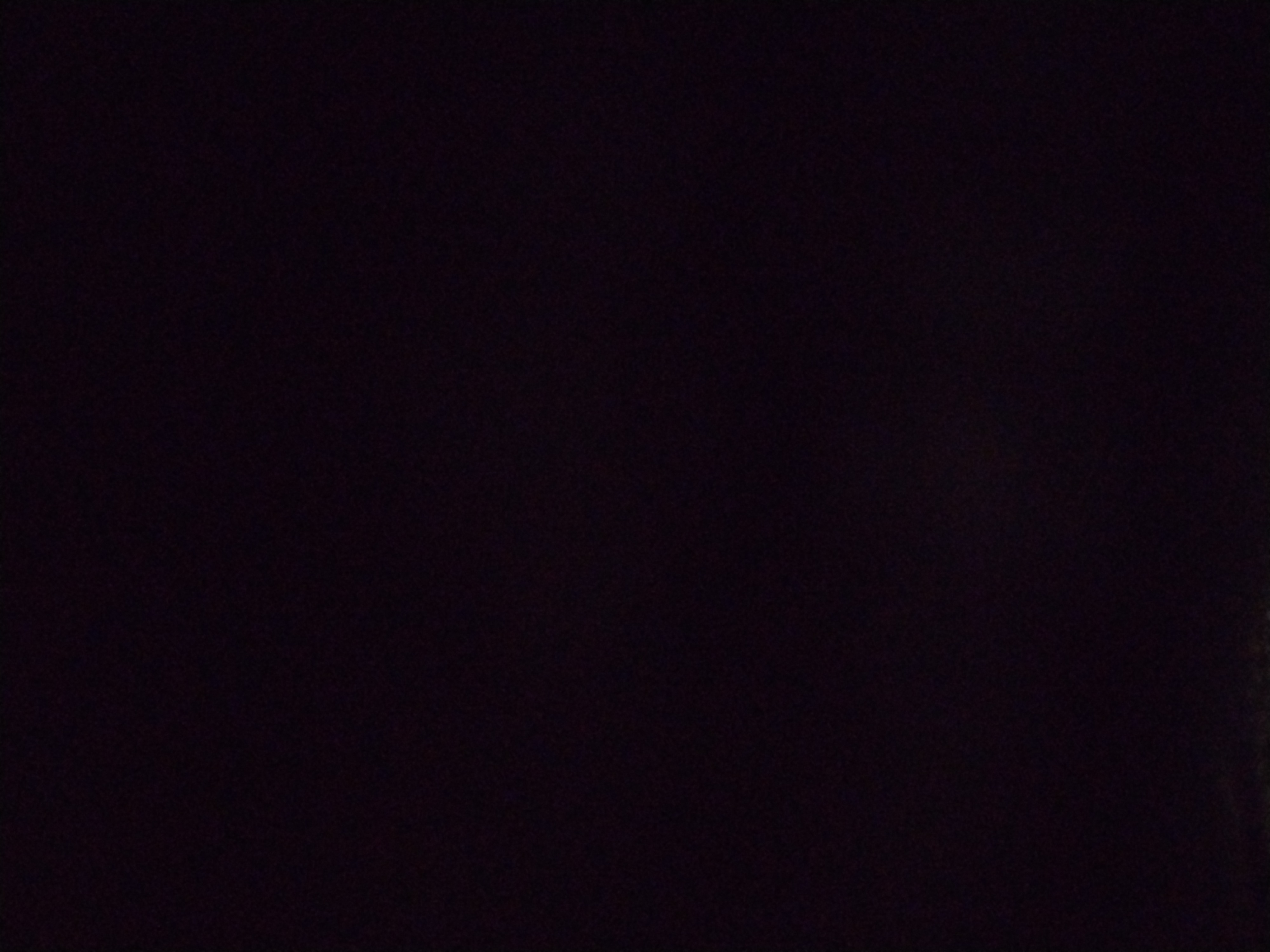 Looki L1 photo