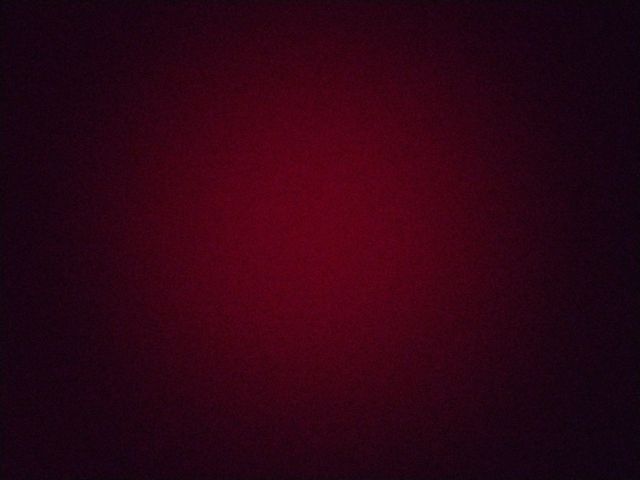 Looki L1 photo