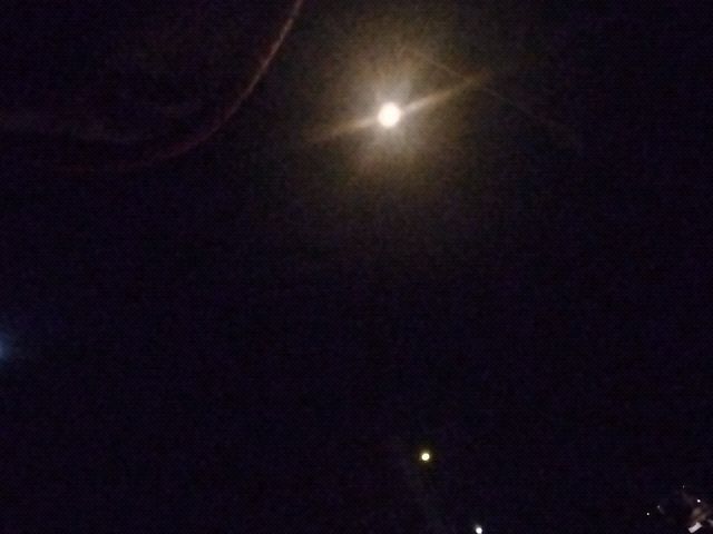 Looki L1 photo