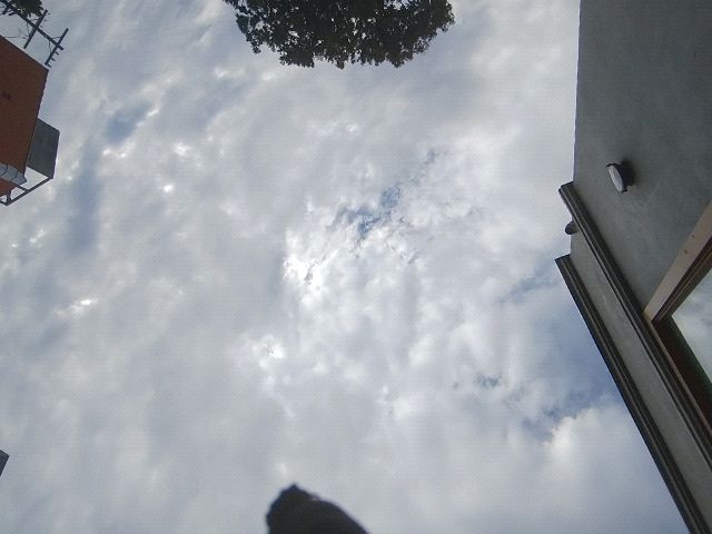Looki L1 photo