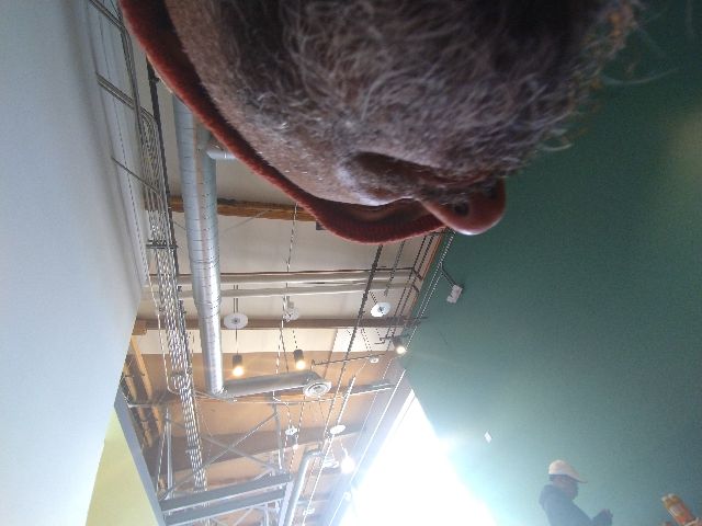Looki L1 photo